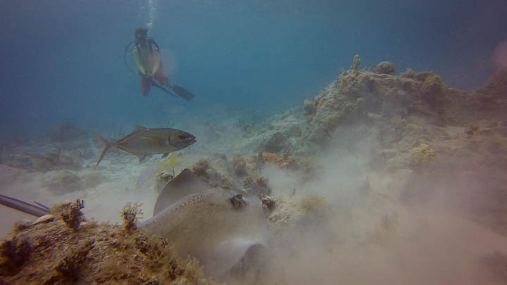 stthomas2.jpg